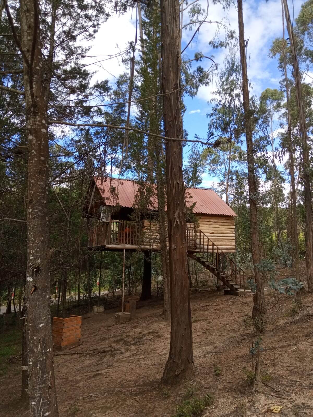 een houten huisje op houten palen in een bos