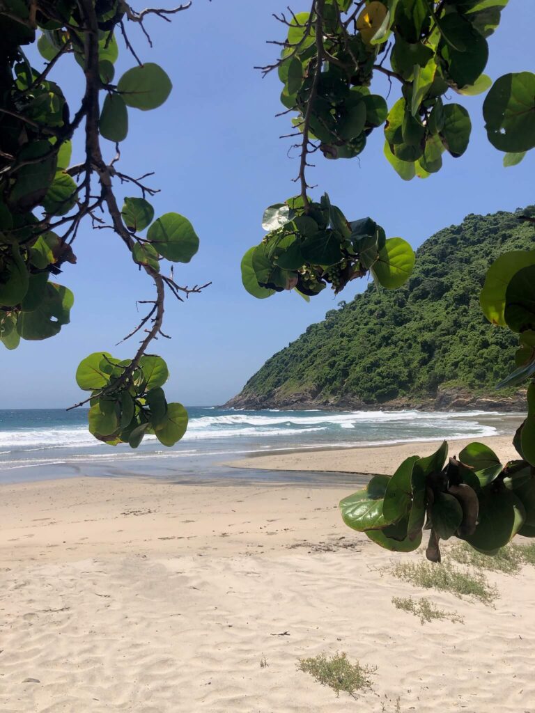 Mooi wit strand met de golvende zee ernaast met daarachter een groene beboste berg.
