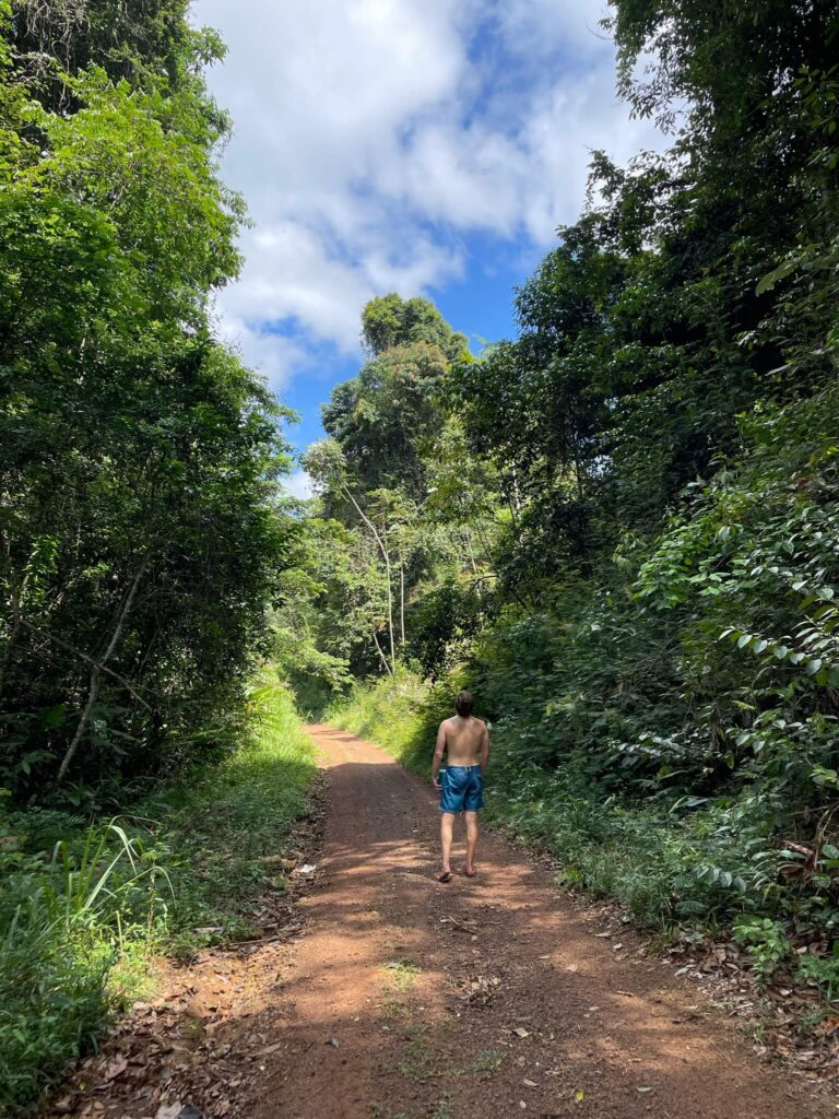 Niels loopt over een zandpad en wordt links en rechts van hem omringd door hoge groene bomen. Hij is van de achterkant gefotografeerd