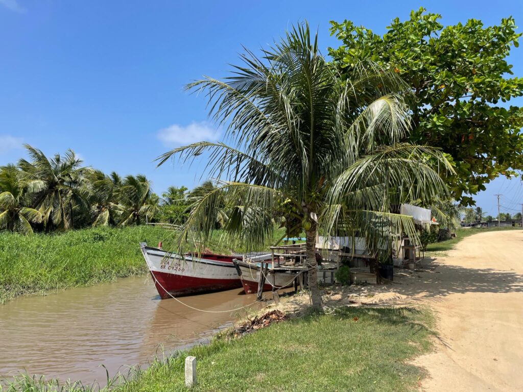 Een foto van een stukje natuur van Coronie. Links zie je de rivier met daarin 2 boten liggen. Rechts is een zandpad. Er staan palmbomen tussen de rivier en het pad in