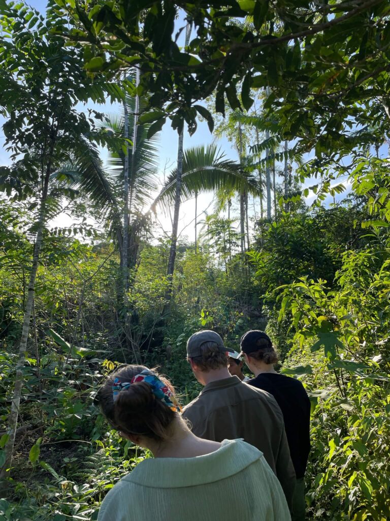 drie toeristen die door de amazone lopen met allemaal groene bomen om hen heen