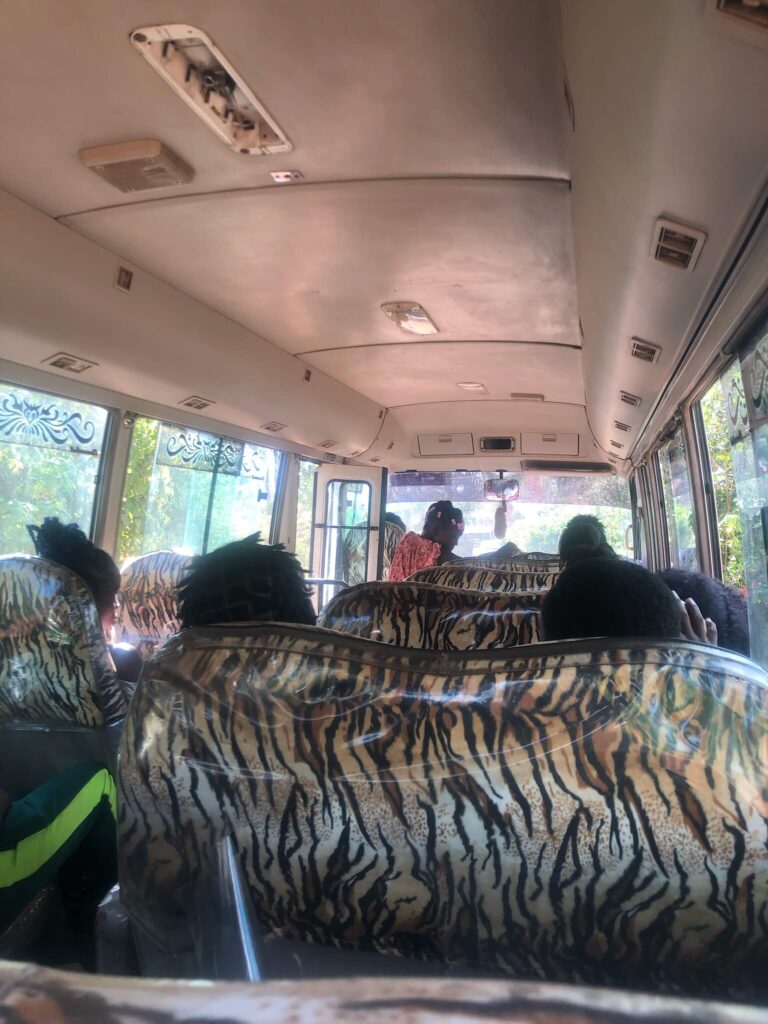 Je ziet de binnenkant van de bus. De bankjes zijn bekleed met panterprint