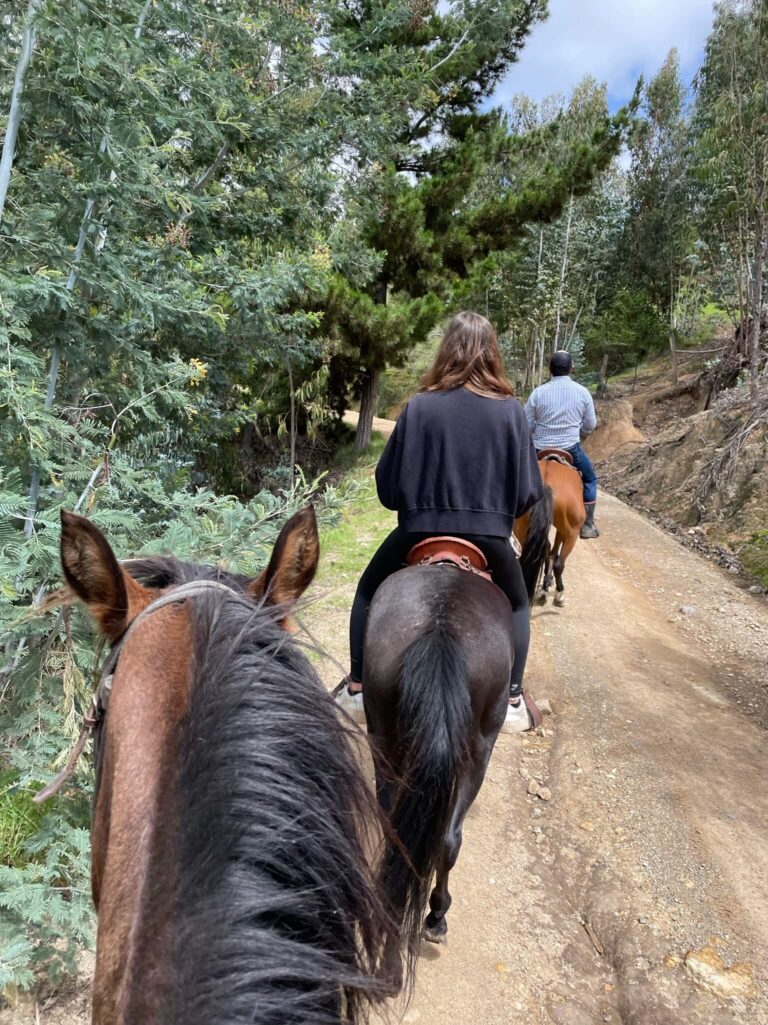 3 paarden achter elkaar op een zandweg. ik zit op het middelste paard