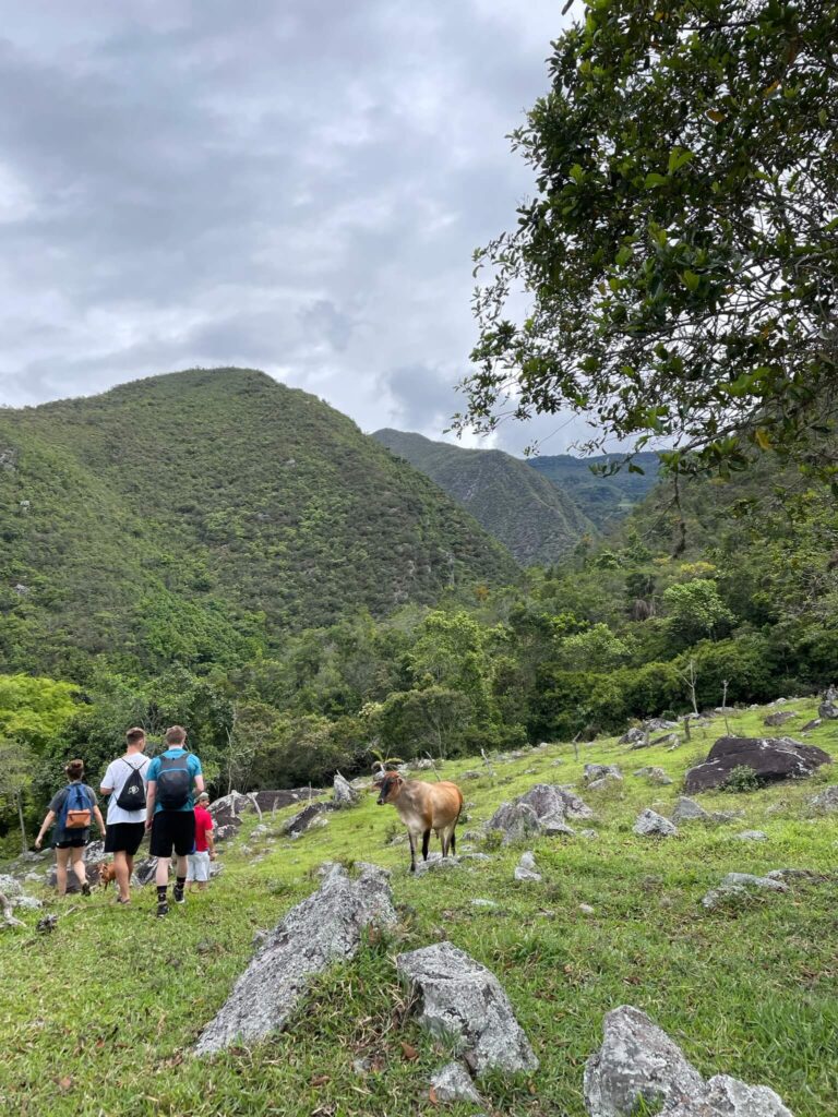 We wandelen door het groene gras met op de achtergrond groene bergen