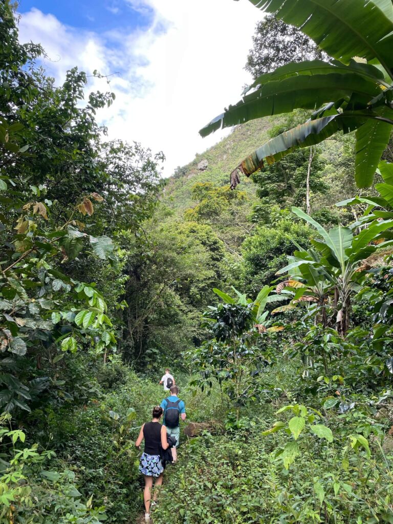 Je ziet mij van de achterkant gefotografeerd terwijl ik dwars door de jungle loop