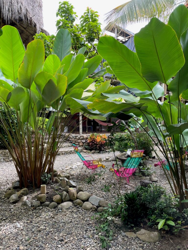 Een groene tuin van een restaurant met gekleurde stoeltjes in het midden