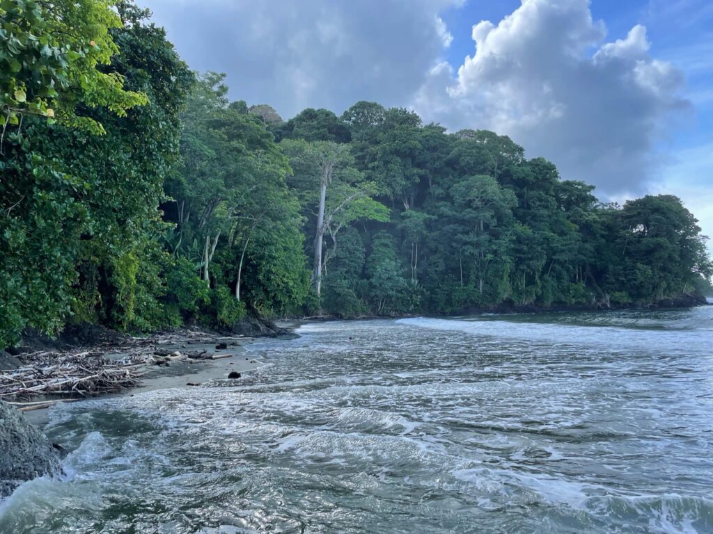Foto van de zee die aan de linkerkant doorloopt in het strand met allemaal groene bomen.