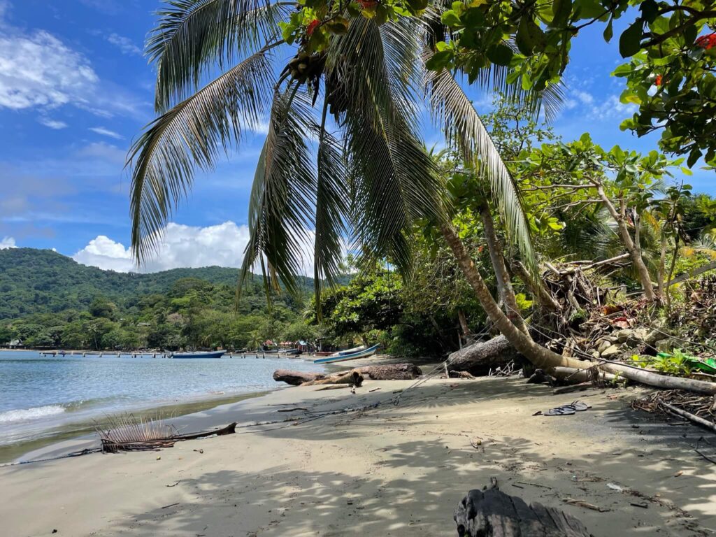 Een tropisch beeld: een wit strand met rechts een grote palmboom en links de zee. In de verte zie je heuvels die volgebouwd zijn met bomen; een oerwoud!