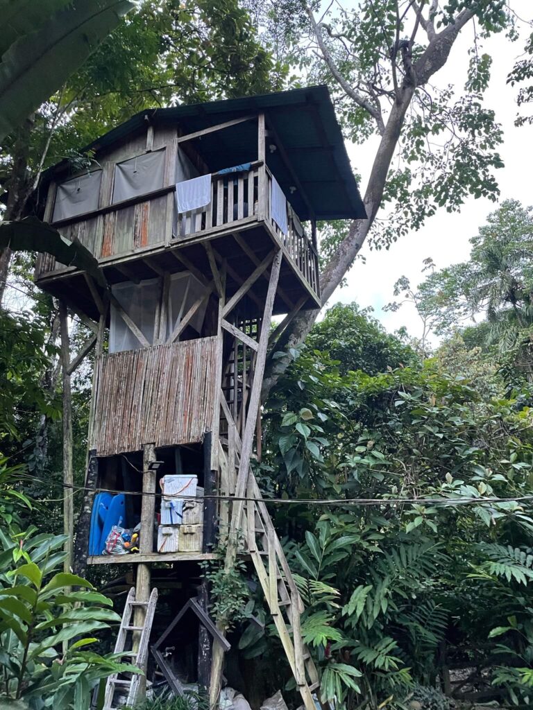 Een hoog gebouwde houten boomhut met daaromheen bomen