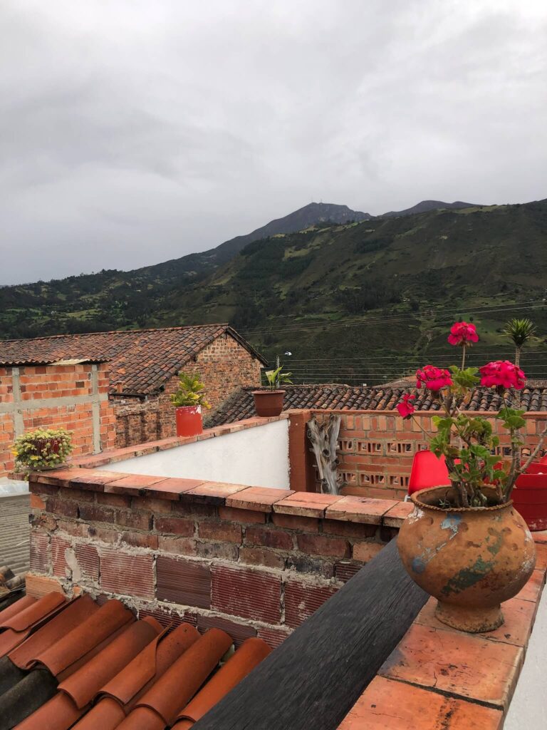 uitzicht vanaf een dakterras op een hoge groene berg met op het terras nog een plantje met roze bloemen