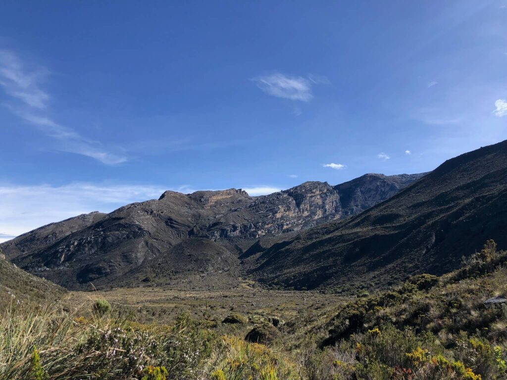 foto van een hoge rotsachtige berg met daarvoor een groene grond met enkele gele bloemen