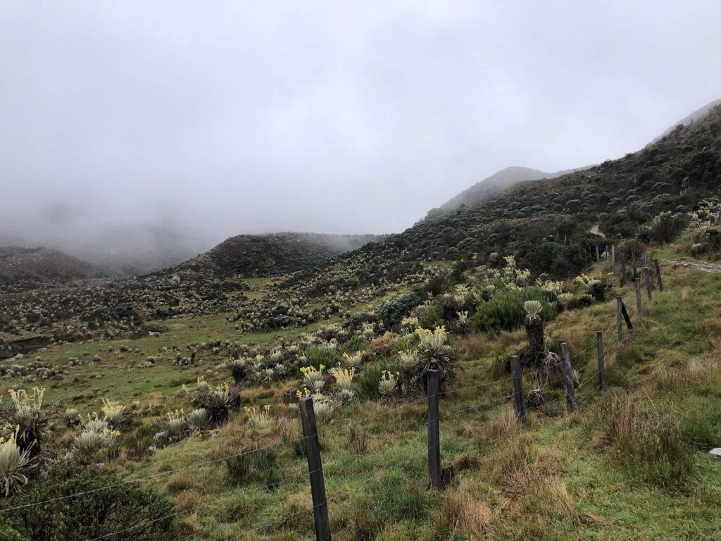 Mistig uitzicht in El Cocuy met veel wolken en een donkergroene grond