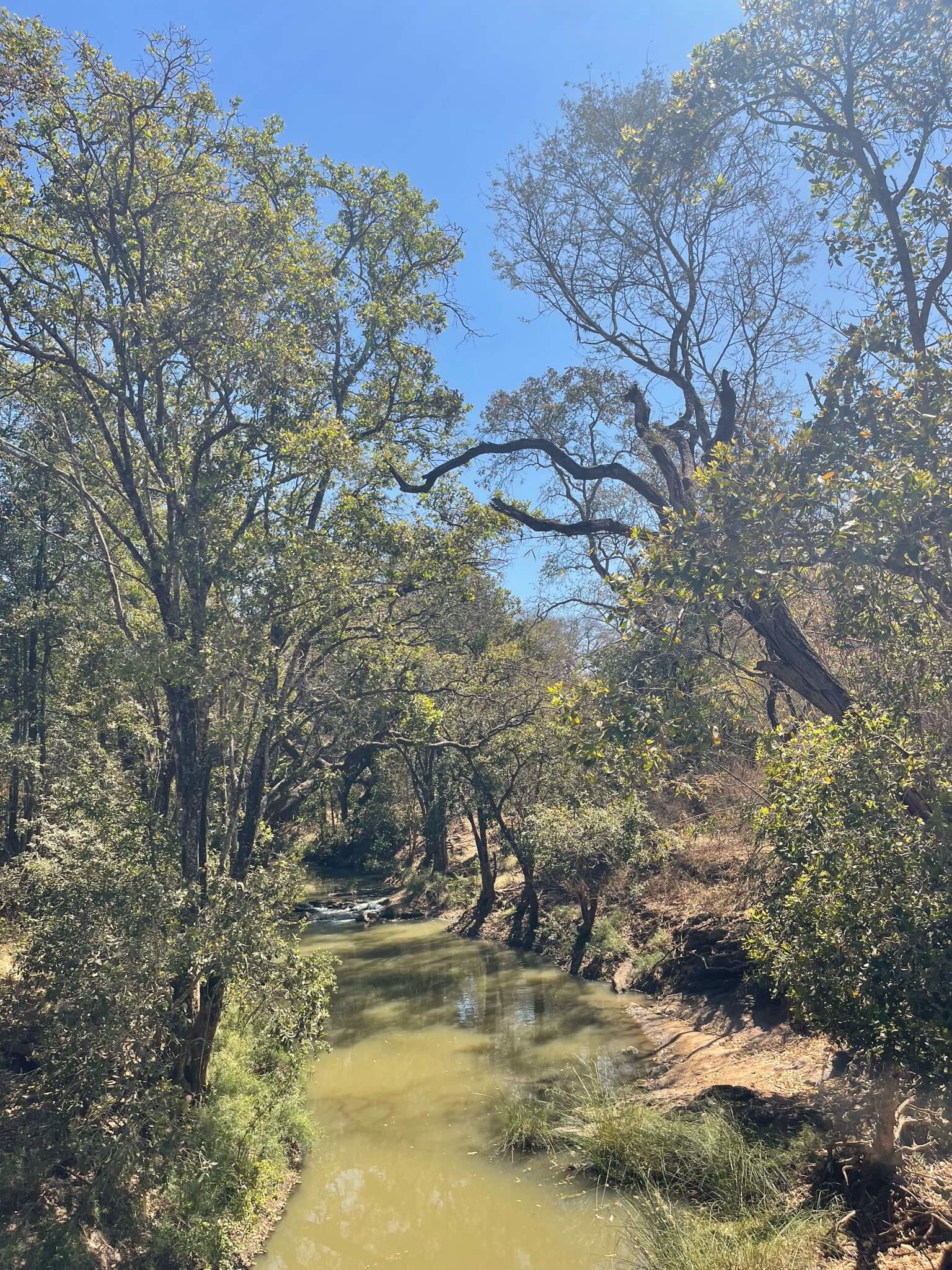 Je ziet een beekje met water lopen met links en rechts bomen, die redelijk kaal aan het worden zijn. De lucht is blauw
