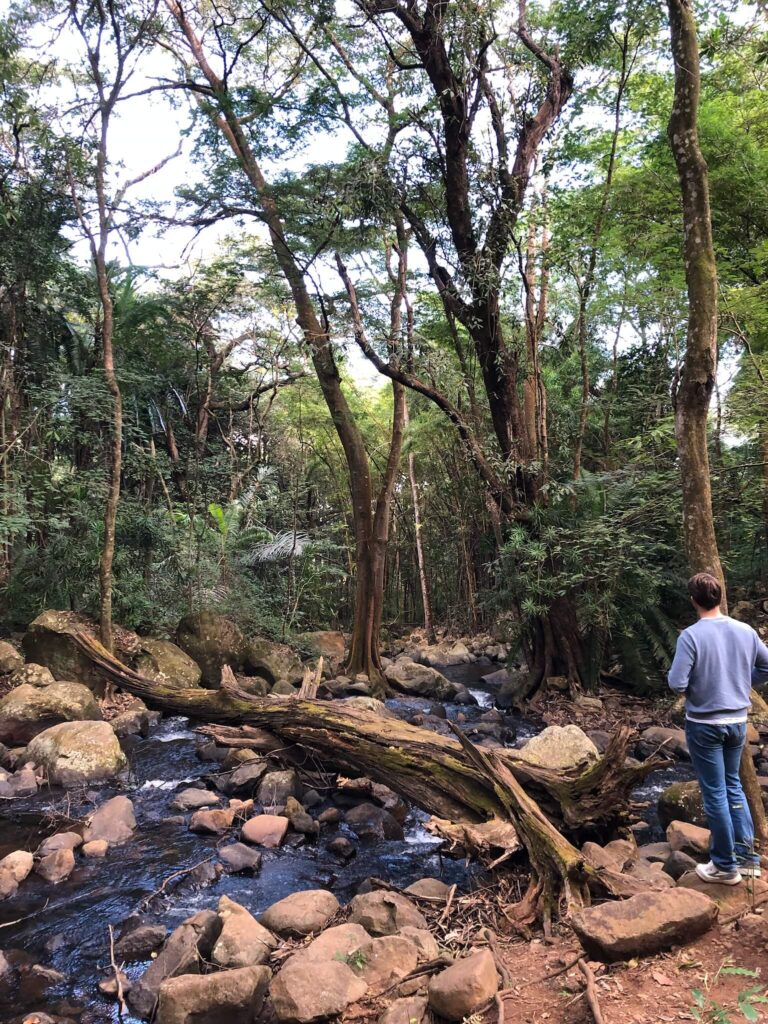 Niels kijkt naar een klein riviertje. Om hem heen staan bomen