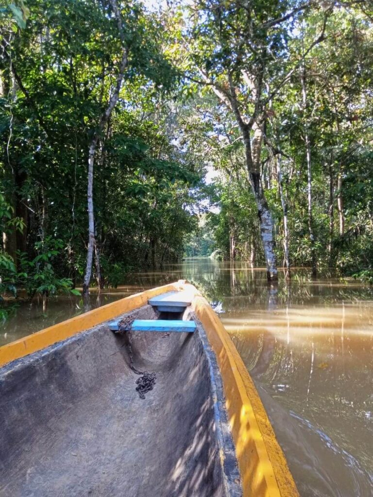 een gele boot op de rivier in de amazone met groene bomen eromheen