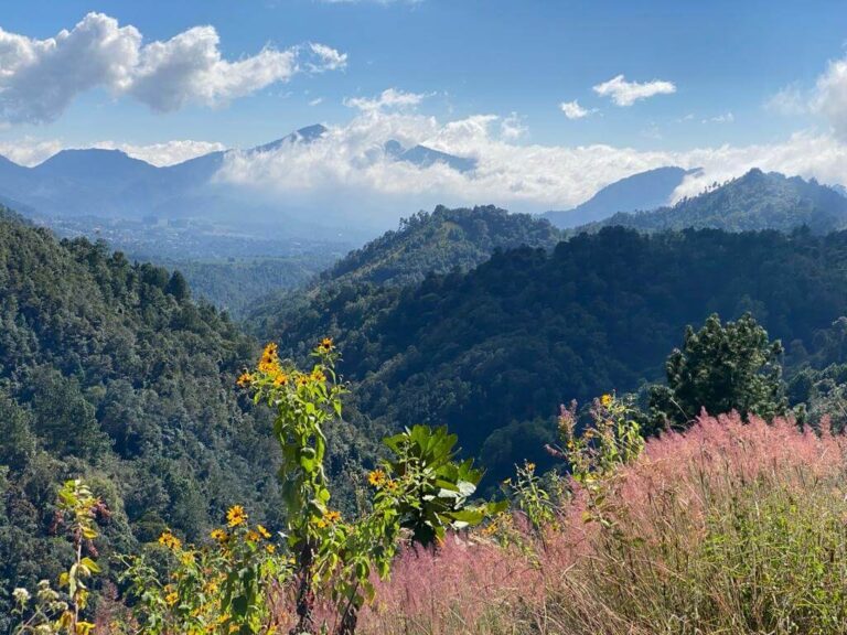 Uitzicht op de groene bergen met in de verte nog meer silhouetten van bergen die zich in de wolken bevinden. Op de voorgrond zijn allemaal roze en gele bloemetjes