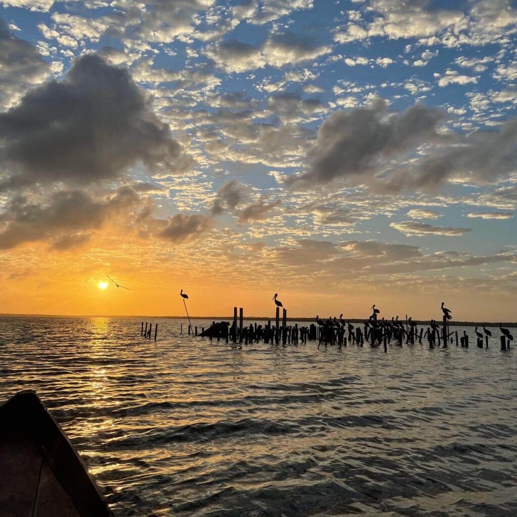 Je ziet de zon in het water zakken met rechts in het water allemaal pelikanen die op houten pilaren staan