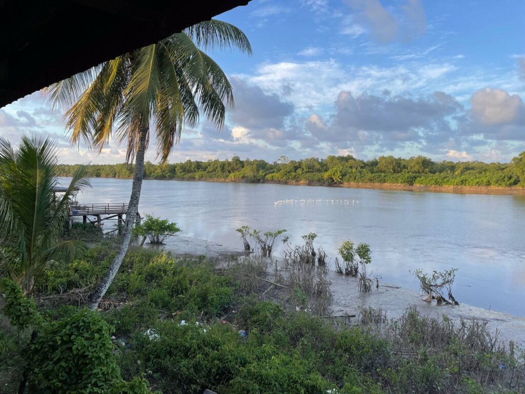 Uitzicht vanaf de veranda van Carla: een brede rivier met allemaal laagvliegende witte irisvogels erboven. Prachtig