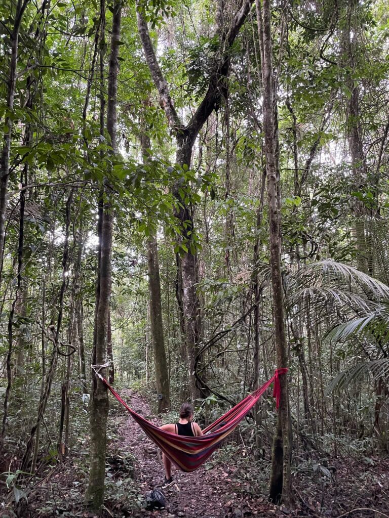 Ik zit in een hangmat die we tussen 2 hoge bomen hebben gehangen. Om de hangmat heen zie je alleen maar hoge bomen staan