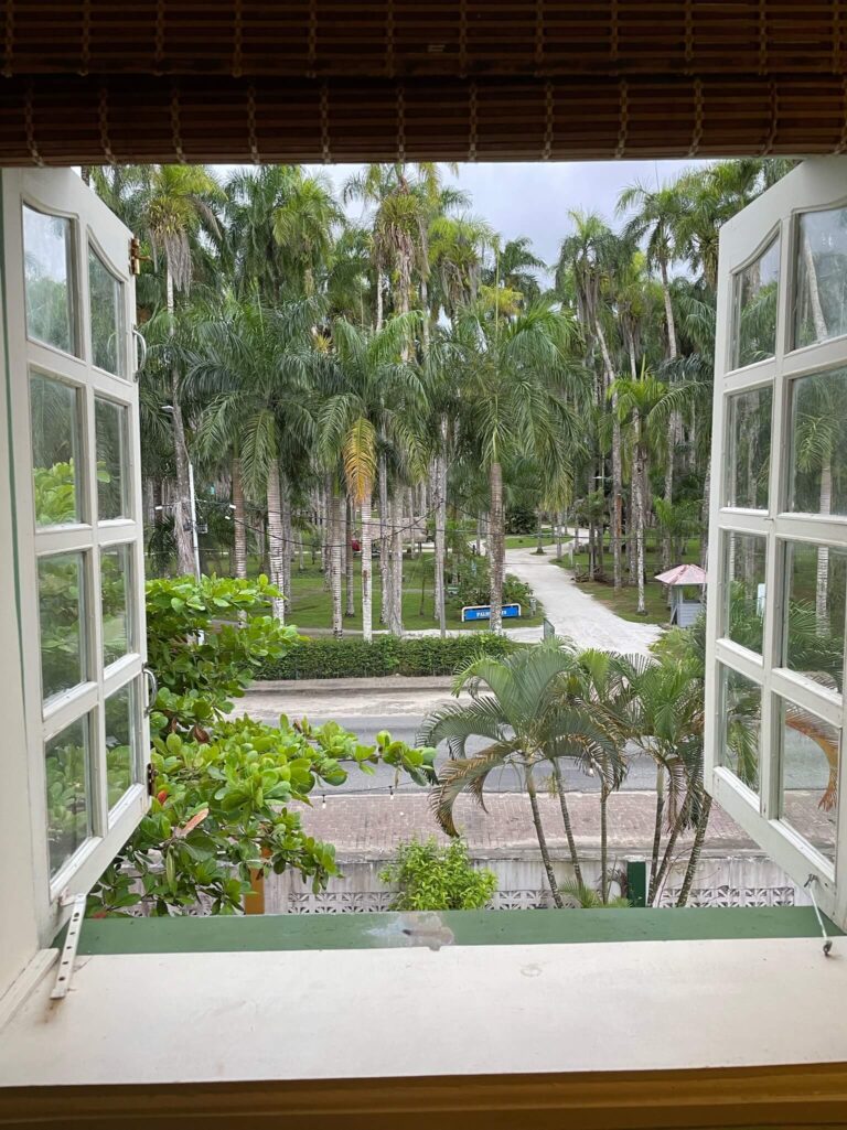 Het uitzicht vanaf ons raam op de palmentuin!