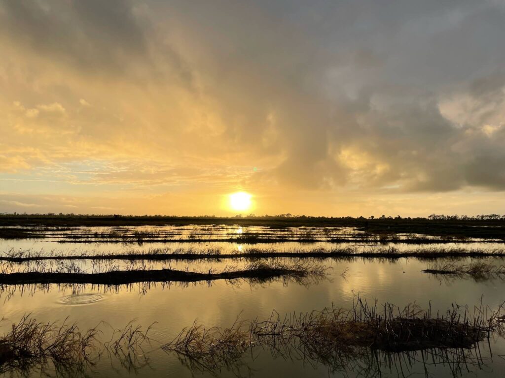 De zonsopgang bij de swamps!
