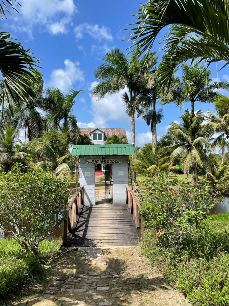Aankomst bij de plantage: een smal houten brug over het water heen richting Marienberg