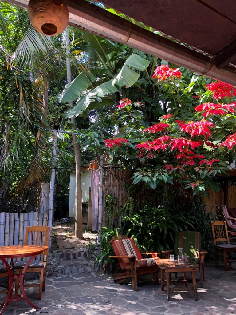 De tuin van een hip lunchplekje met een paar houten tafeltjes en stoelen