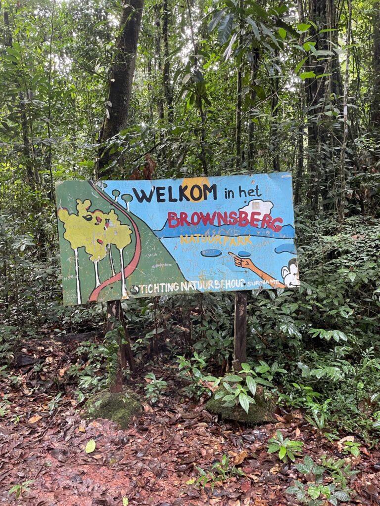 Een bord staat tussen de bomen dat aan de linkerkant groen is geschilderd met een boom en rechts blauw. Op het bord staat "Welkom in het Brownsberg natuurpark"