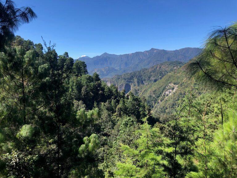 Prachtig uitzicht op groene bergen
