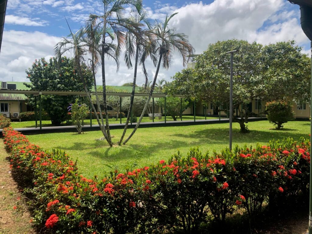 De mooie binnentuin van het ziekenhuis. Je ziet felgroen gras met in het midden een pad lopen. Naast het gras staat een rij met geplante bloemen