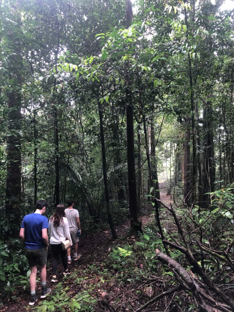 Een foto van ons hikend door de jungle