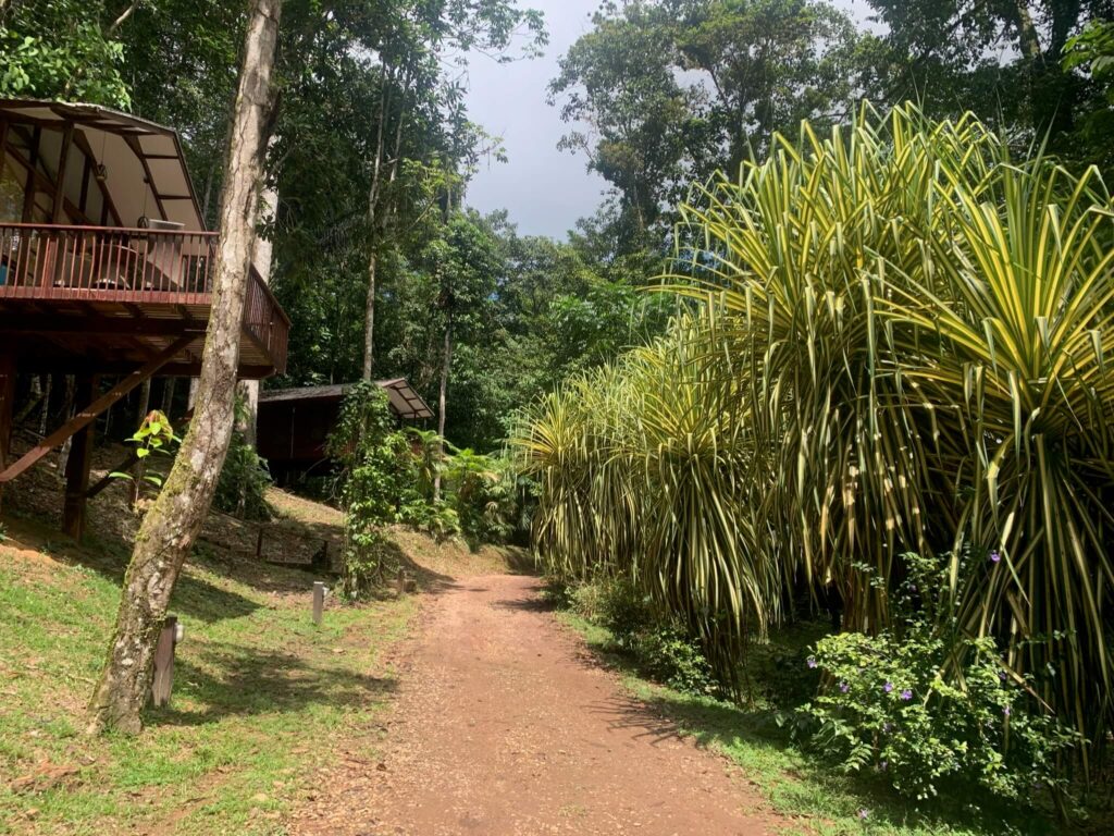 Een foto van het park bij Berg en Dal