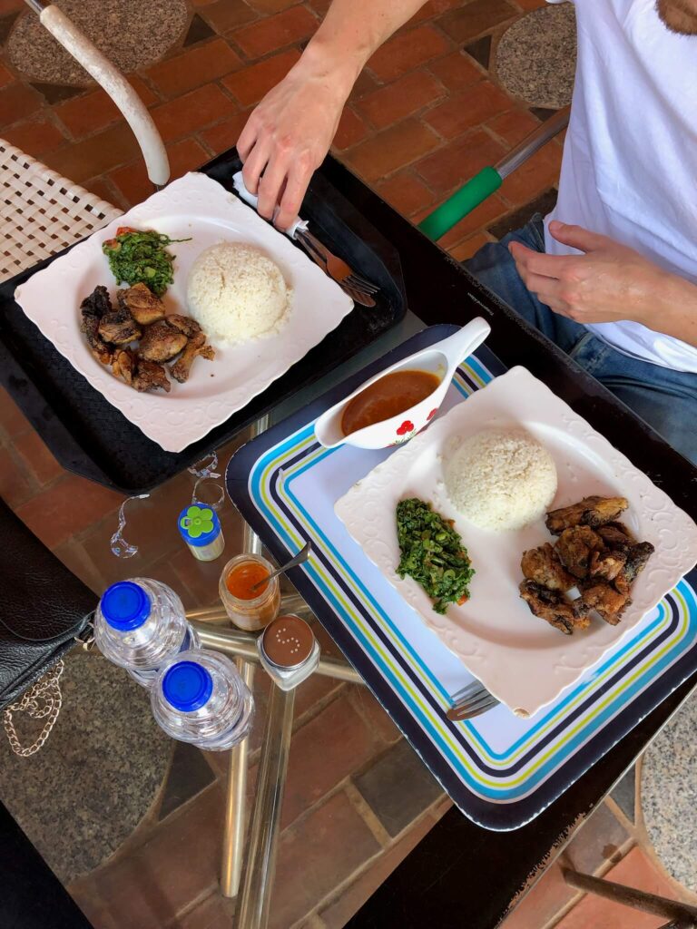 Twee borden met heerlijk eten! Rijst, wat groenten en gegrilde kip