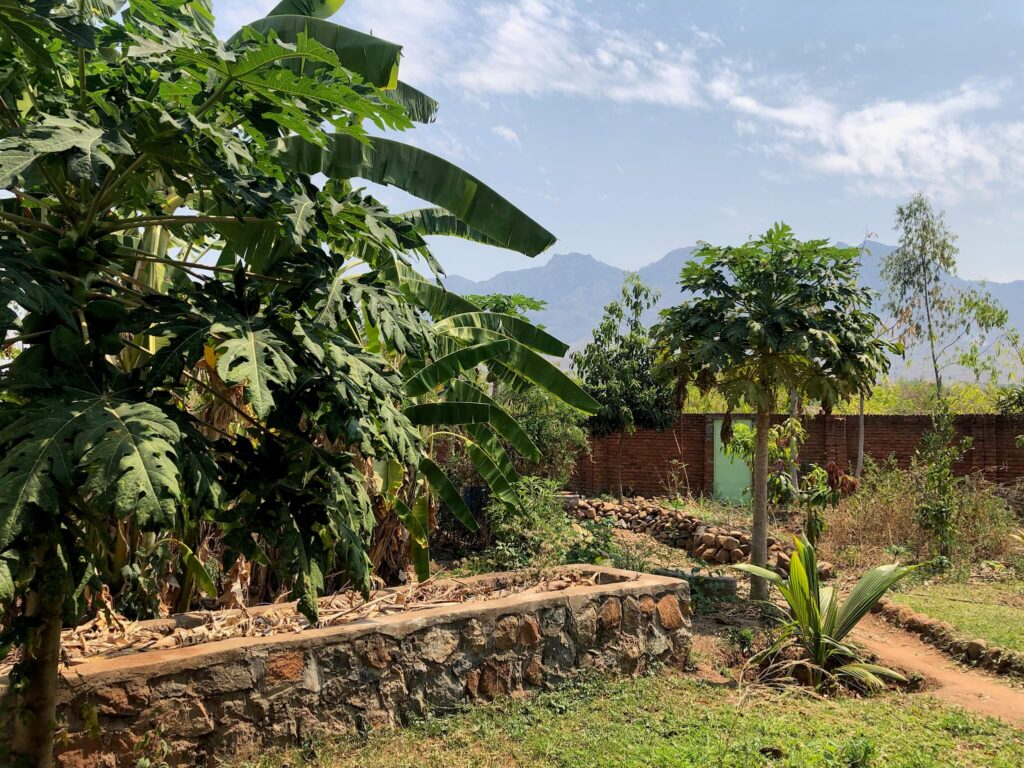 Een deel van de groene tuin in Songani met uitzicht op een prachtige berg in de verte