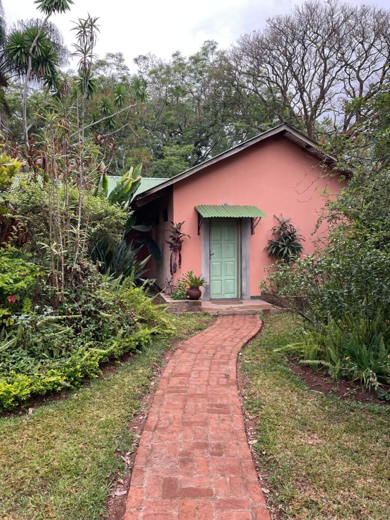 Het huisje in Thyolo vanaf de buitenkant gefotografeerd. Er loopt een pad naar het huisje toe. Links en rechts is het groen van de struiken