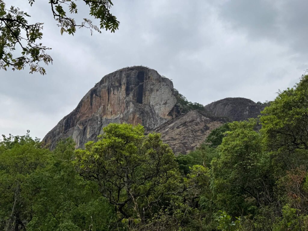 Een hoge stenen berg met enkele bomen ervoor