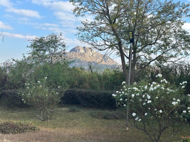 Uitzicht vanaf de accommodatie op een smalle groene tuin met in de verte een hoge berg