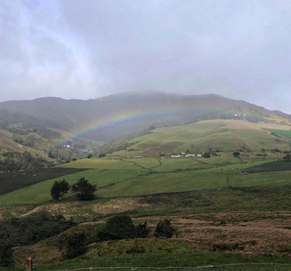 Regenboog boven een groene heuvel