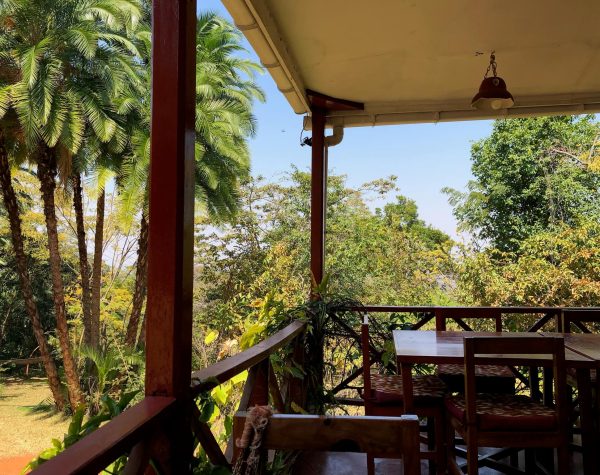 Prachtig uitzicht vanaf de veranda bij Casa Rossa op de groene bomen