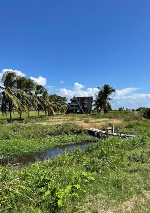 Je ziet groen gras met een paar palmbomen in de verte en een hoog houten huisje