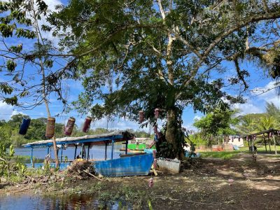 Een houten blauw geverfde boot ligt half links in de rivier en half rechts op het droge. Op het droge staat een grote boom die de hele foto beslaat