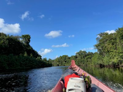 Foto van de houten boot op de rivier met links en rechts bos