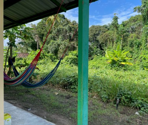 De zijkant van ons huisje: hier hangen 2 hangmatten met daarachter groen gras en bomen