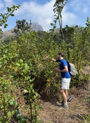 Niels plukt lokale bessen van de planten op de berg