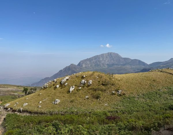 Een groen grasveld met in de verte een berg
