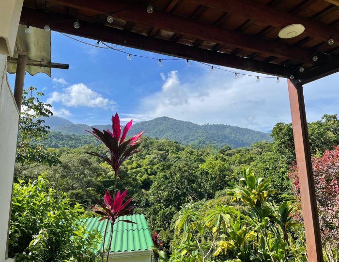 Uitzicht vanaf ons balkon op bergen in de verte en vooral heel veel groene bomen ervoor